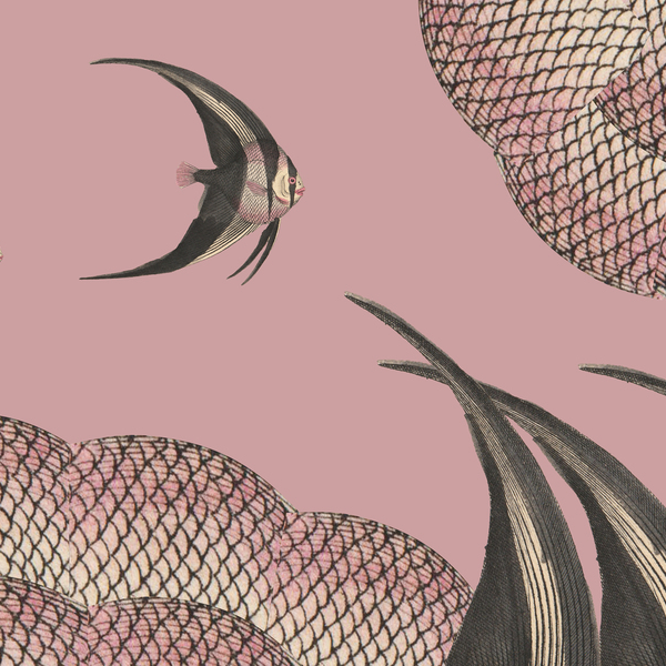 Ensemble02_rosa fisch