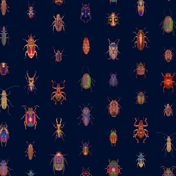 Beetle 2
