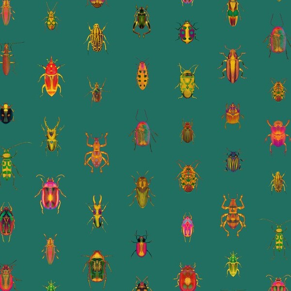 Beetle 4
