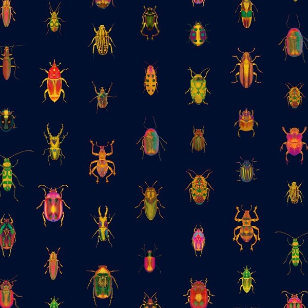 Beetle 3
