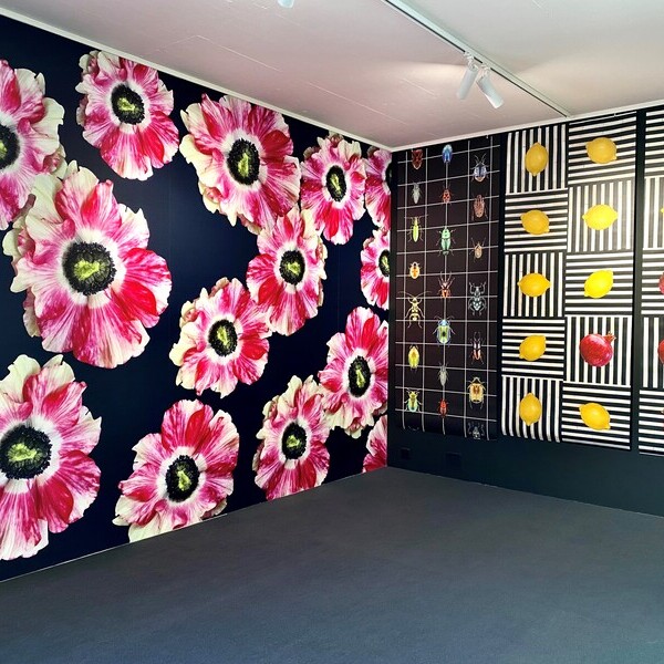 MOODESIGN in der pop-arena von BF Architekten AG in Sursee 